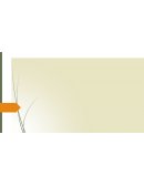 Fundamentos de derecho