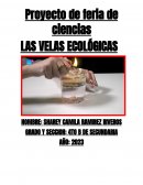 Proyecto Las velas ecológicas