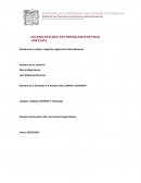 Análisis crítico Conar Y Cofeprist