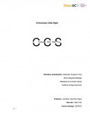 Cinturones Chile Style