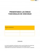 Presentando las áreas funcionales de CENCOSUD