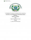 La Asociativa como Estrategia para la competitividad de Cadenas Productivas