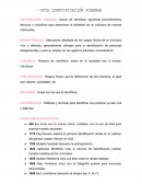 Guía identificación forense