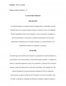 Los derechos humanos