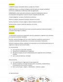 Organismo humano como sistema abierto