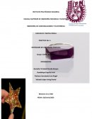 Práctica No. 5 Obtención de una resina fenólica