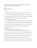 Informe de atestiguamiento del contador público independiente sobre ingresos