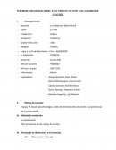 Informe psicológico del test proyectivo de los colores de luscher