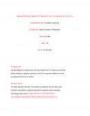 Informe mejora de producto y procesos con la incorporacion de las TIC