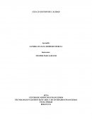 Guia 25 gestion de calidad