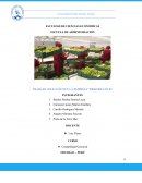 Trabajo aplicativo en la empresa “Dristriclock”