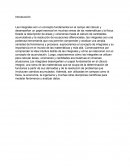 Integrales