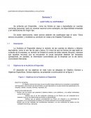 Auditoria de EEFF a los activos