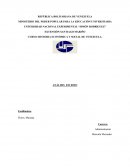 Historia económica y social de Venezuela