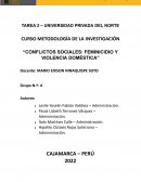 Conflictos sociales: feminicidio y violencia doméstica