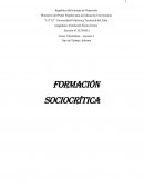 Informe Formación Sociocrítica