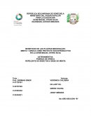 Menta y árnica como proyecto socioproductivo