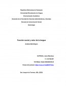 Análisis Morfológico