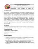 Práctica de laboratorio No. 6 Moldeo con barbotina