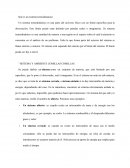 Qué es un sistema termodinámico