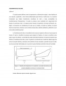 Investigación de Secado