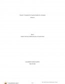 Diseño de términos de referencia de proyecto social