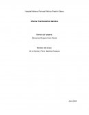 Lineamientos para el seguimiento del recien nacido