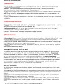 Roles o papeles de los administradores