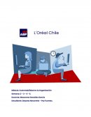 Gestionar deudas L´Oreal Chile