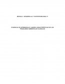 Evidencia de aprendizaje: cuadro características de los problemas ambientales globales