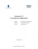 Laboratorio N° 3 “Analisis de combustión”
