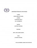 Procedimientos de auditoria