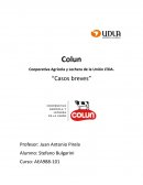 Cooperativa Agrícola y Lechera de la Unión LTDA. “Casos breves”