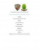 Importancia de los principios éticos y morales