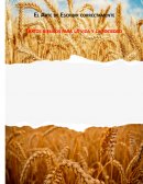 El Arte de Escribir Correctamente