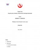 Proyecto para el Análisis y Desarrollo del Liderazgo Empresarial