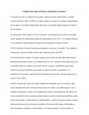 Formación del sistema nervioso central