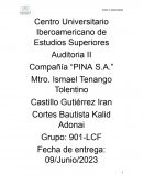 Auditoria II Compañía “PINA S.A.”