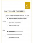 Análisis del proceso de tostación del aluminio en un horno de lecho fluido