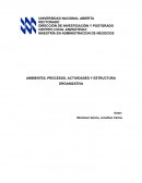 Ambientes, procesos, actividades y estructura organizativa