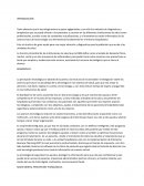 La percepción tecnológica