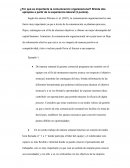 ¿Por qué es importante la comunicación organizacional?