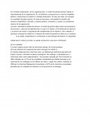 Introduccion al control de gestión