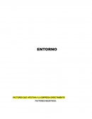 Factores que afectan a la empresa directamente