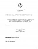 Ingenieria de las reacciónes electroquímicas