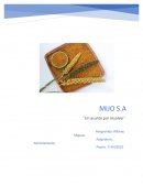 Árbol de problema y diagrama Ishikawa. Mijo S.A