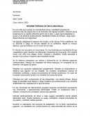 Informe período de inicio individual