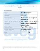 Análisis de un Project Charter. Foro de construcción y entrega de archivo