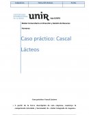 Caso práctico: Cascal Lácteos