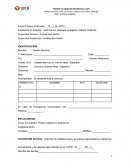 Diagnóstico. Ficha clínica